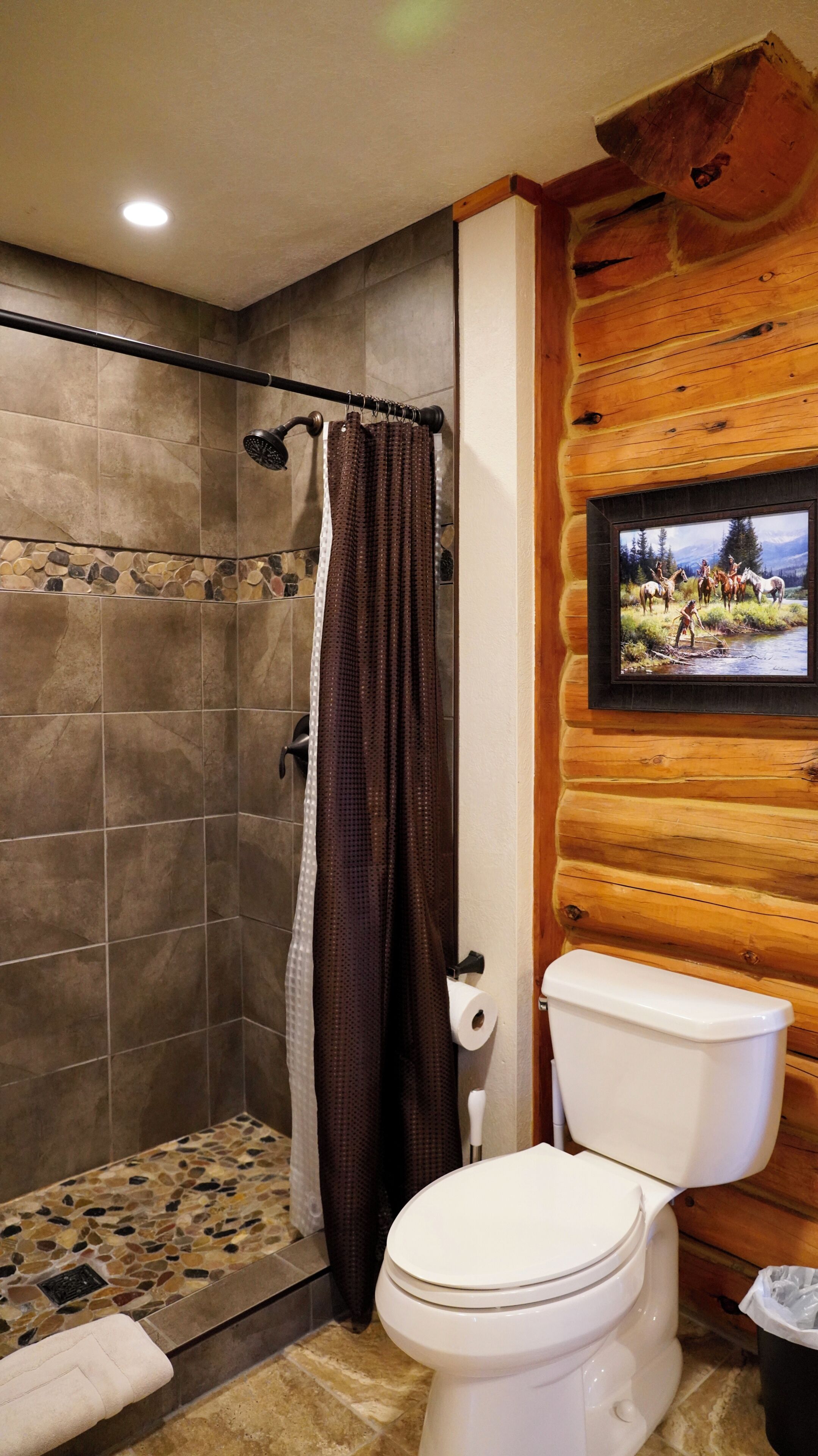 Ein Badezimmer mit Dusche, Toilette und einem gerahmten Bild an der Wand.