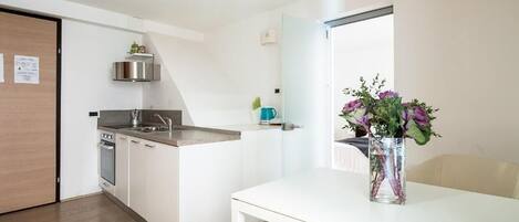Apartment, City View | Private kitchen