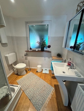 Dusche, Haartrockner, Handtücher, Seife
