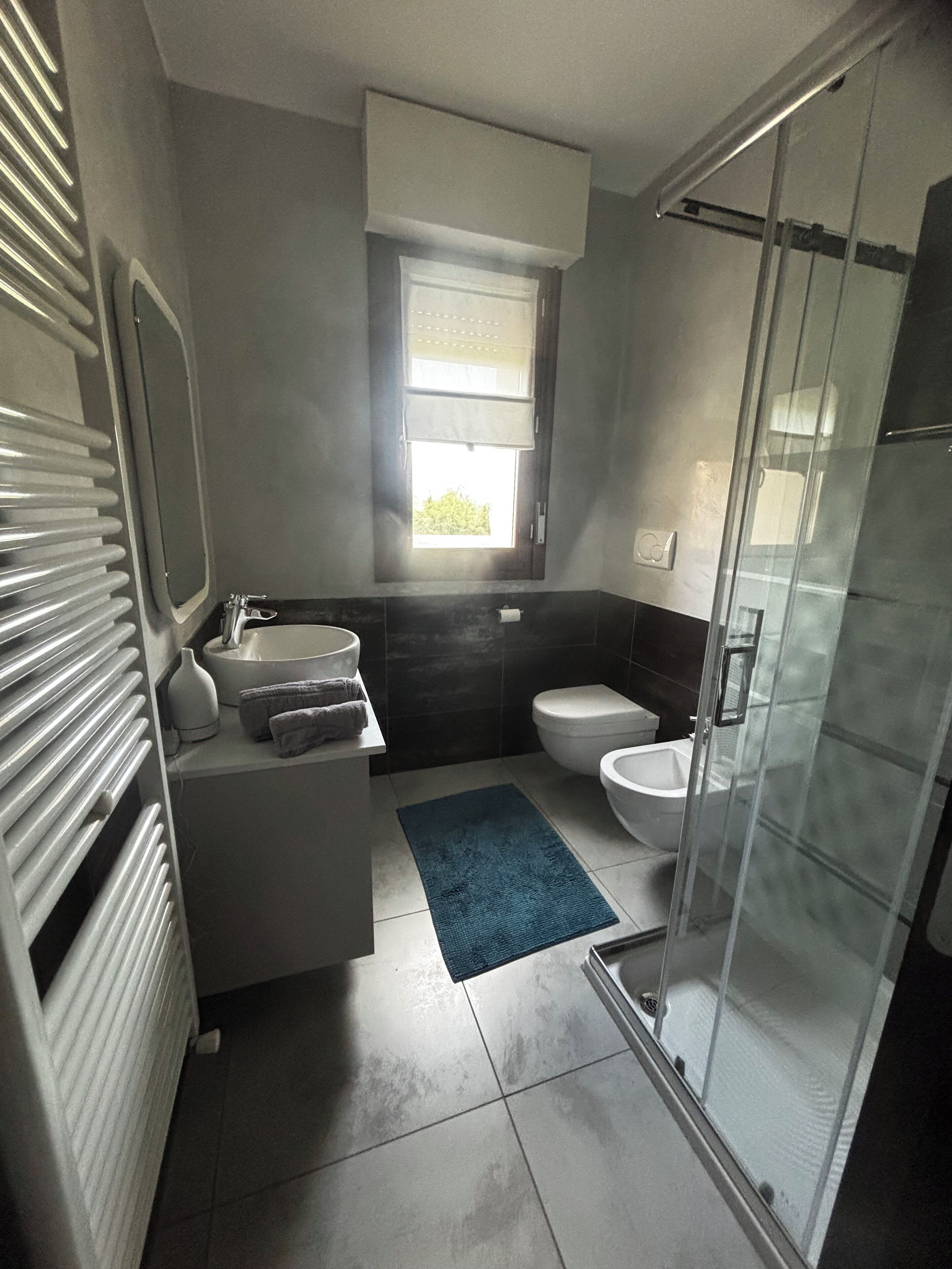 Shower, bidet, towels, soap
