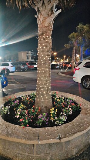 Ein Baum mit Lichterketten in einem Blumentopf, umgeben von bunten Blumen.