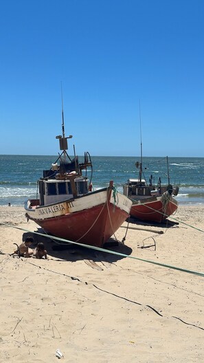 Beach - Beautiful 2 bedroom cabin accepts pets (Punta del Diablo)