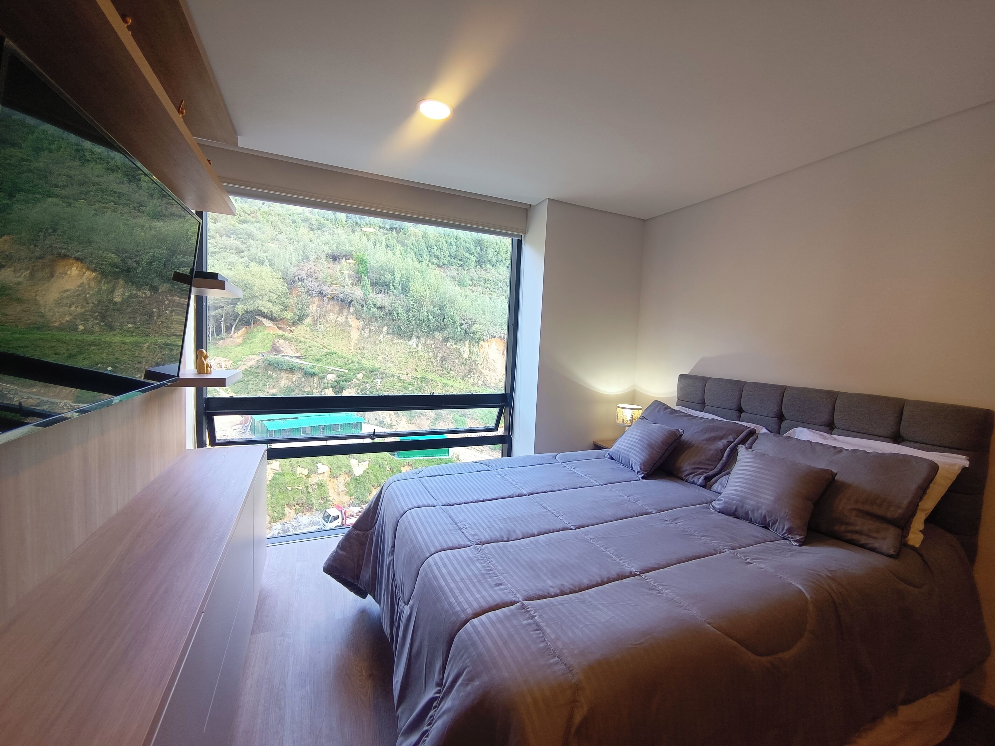 Desk, blackout curtains, iron/ironing board, free WiFi