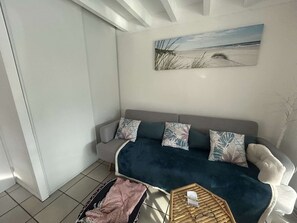 TV - Maison mitoyenne avec beau jardin proche lac (BISCARROSSE)