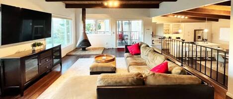 TV, fireplace, books