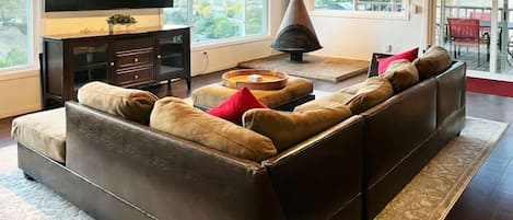 TV, fireplace, books