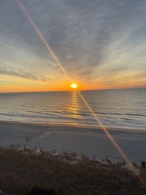 Beach - Oceanfront Penthouse Escape (Myrtle Beach)