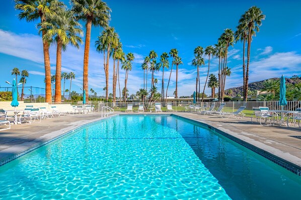 A rectangular swimming pool with clear blue water, surrounded by white lounge chairs and a white fence. Tall palm trees line the background, and a mountain is visible in the distance. - Palm Springs ~ Pool, Hot Tub (Palm Springs)