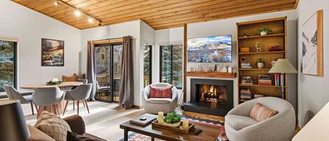 スマートテレビ、暖炉、書庫、ステレオ