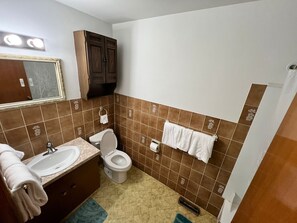 Hair dryer, towels, soap, toilet paper