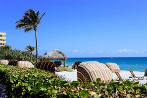 A beach with striped lounge chairs, a palm tree, and a thatched-roof structure. - Oceanfront & Intracostal Private Villa Steps From the Beach (Hillsboro Beach)