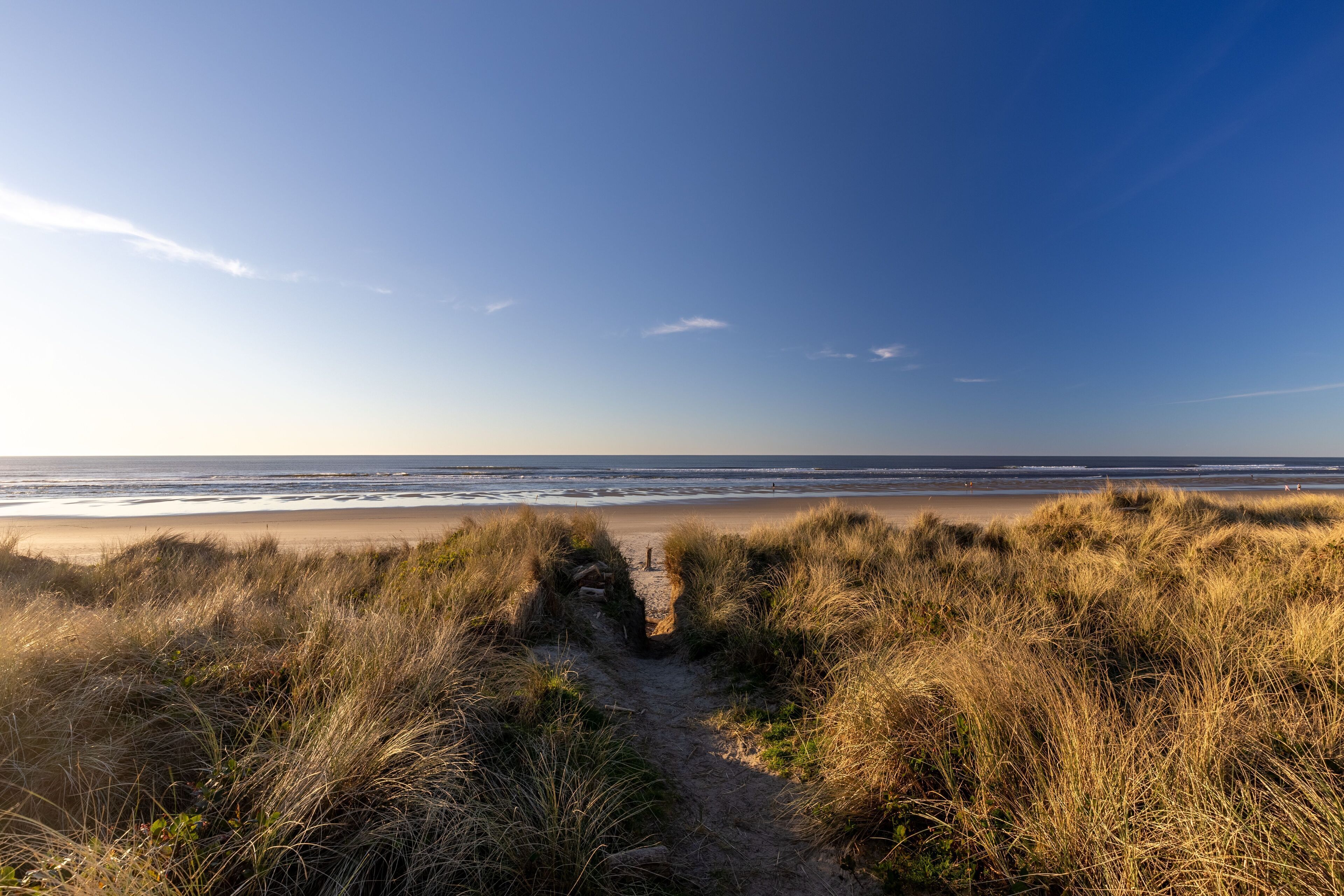 A beach path leading to the ocean with dunes and a clear sky.
