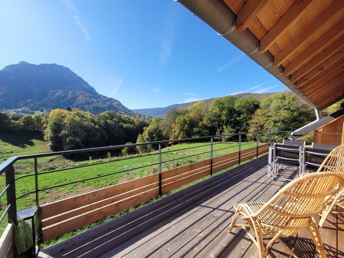 テラス / パティオ