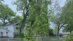 Property grounds - Pistakee Lake-Front Retreat (Fox Lake)