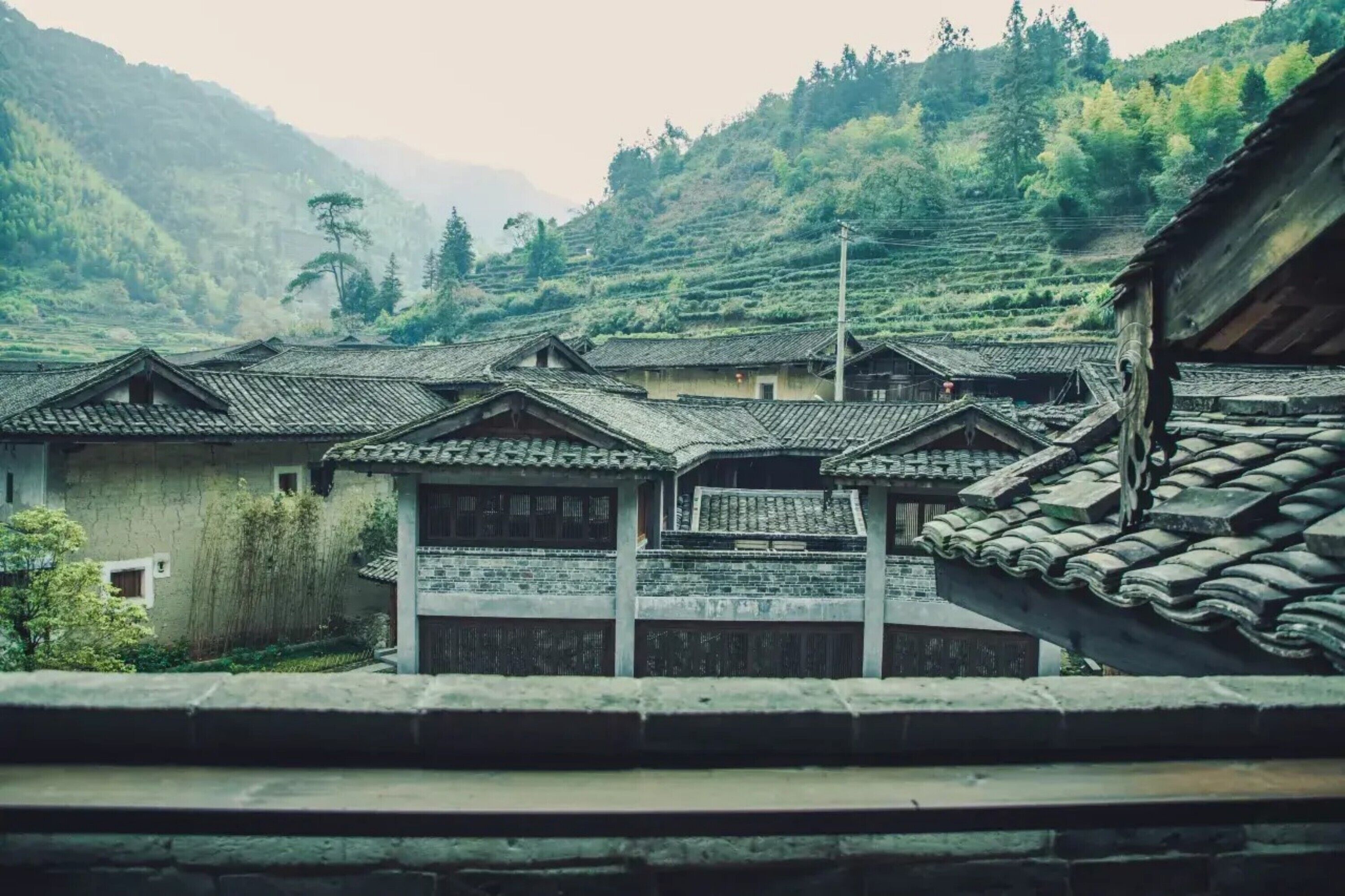 View from room