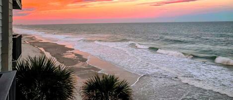 On the beach, sun loungers