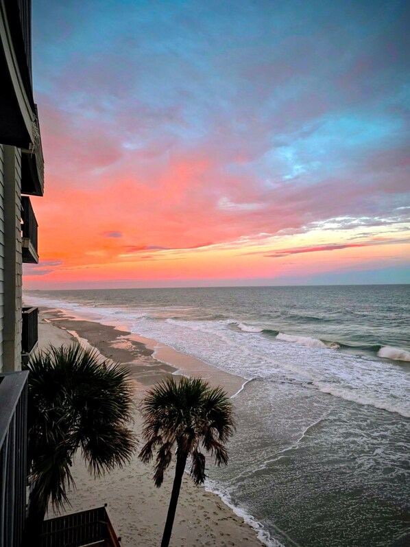 Plage, chaises longues
