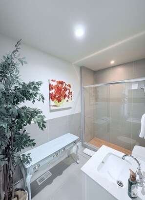 Chuveiro, secador de cabelo, toalhas de banho, sabonete