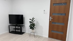 Une pièce avec un téléviseur à écran plat posé sur un meuble noir, une plante en pot et une porte en bois avec des panneaux de verre.