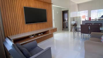 Television