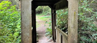 The Tall Trees Cabin - 1-bedroom in Klamath, CA