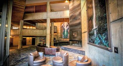 Condo RIGHT on the Snowbird Slopes