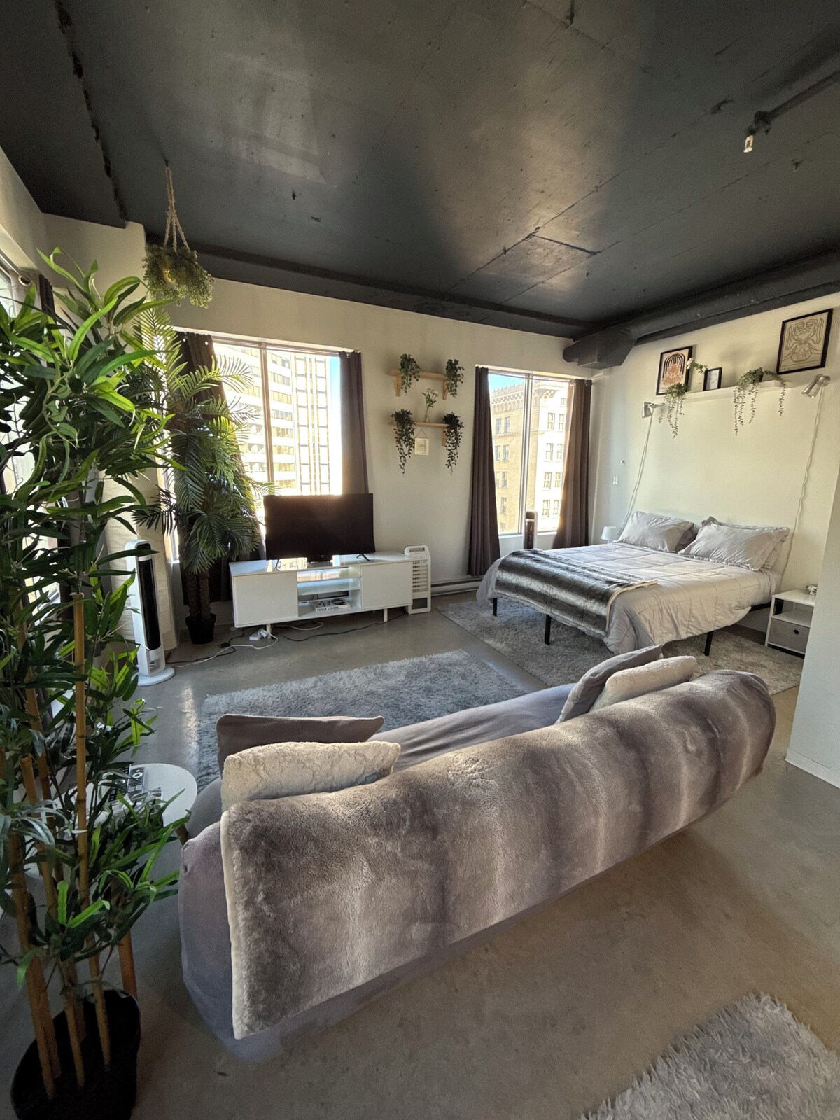 Imagen de perfil del propietario o de la propietaria