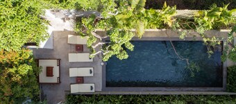 The Tree - Adults Only