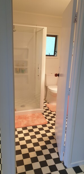 Bathroom - Lazy Daze at Athenree with local hot pools, and only 5 minutes from Waihi Beach (Athenree)