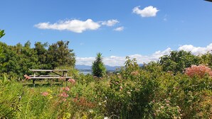 A picnic table in a natural setting with a clear view of mountains in the distance. - Lazy Daze at Athenree with local hot pools, and only 5 minutes from Waihi Beach (Athenree)