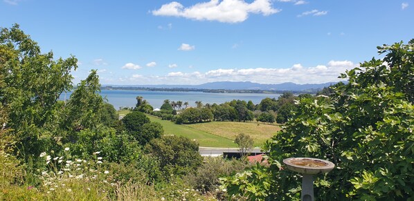 Miscellaneous - Lazy Daze at Athenree with local hot pools, and only 5 minutes from Waihi Beach (Athenree)