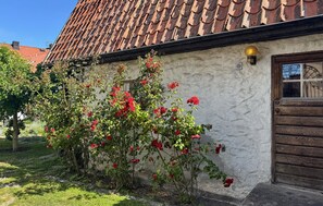 Exterior detail - 4 bedroom cozy home in Visby (Visby)