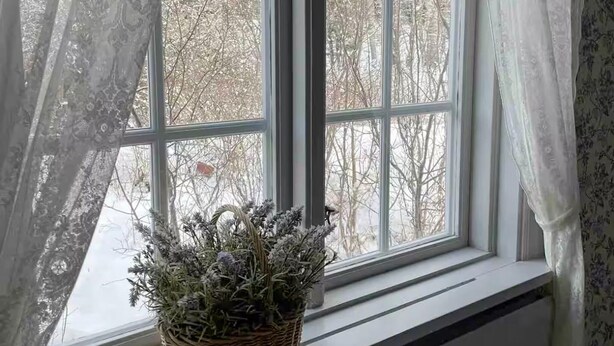 Une fenêtre donnant sur des arbres sans feuilles, un panier en osier contenant des plantes séchées et des rideaux en voile léger.