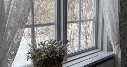 1 bedroom nice home in Gottröra