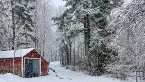 Une forêt enneigée avec une cabane en bois rouge.