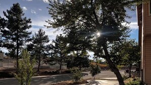 Property grounds - Perfect 6-bedroom house with AC in welcoming Reno neighborhood (Reno)