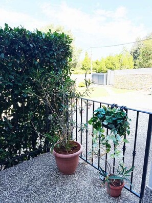 A balcony with a potted plant and a metal railing. - Holiday flat with terrace (Malinska)