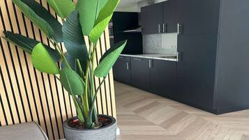 Fridge, microwave, coffee/tea maker, electric kettle