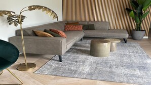 A modern living room with a sectional sofa, a floor lamp, a potted plant, and a textured rug. - Palette Resort De-steppe Family Stay (Ulicoten)