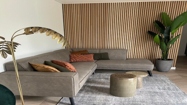 A modern living room with a sectional sofa, a floor lamp, a coffee table, and a large potted plant. - Eco Forest Home by Palette Resort De-steppe (Ulicoten)