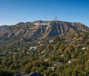 A hilltop view of Hollywood with the Hollywood sign, residential houses, and palm trees. - Spacious 2BR +Rooftop Pool+ view of Hollywood Sign (Los Angeles)