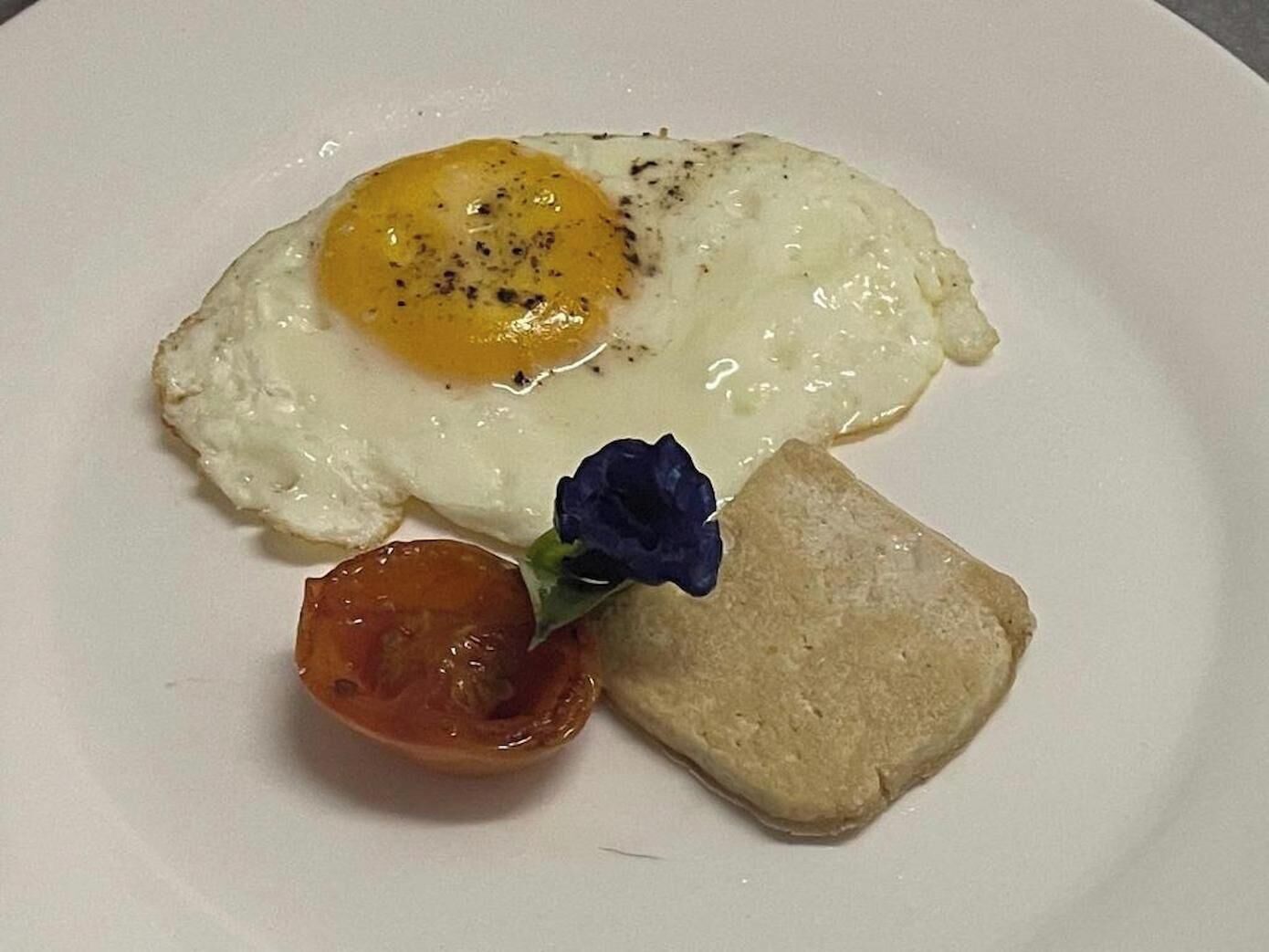 Un plato con un huevo frito, una rodaja de tomate y una tostada.