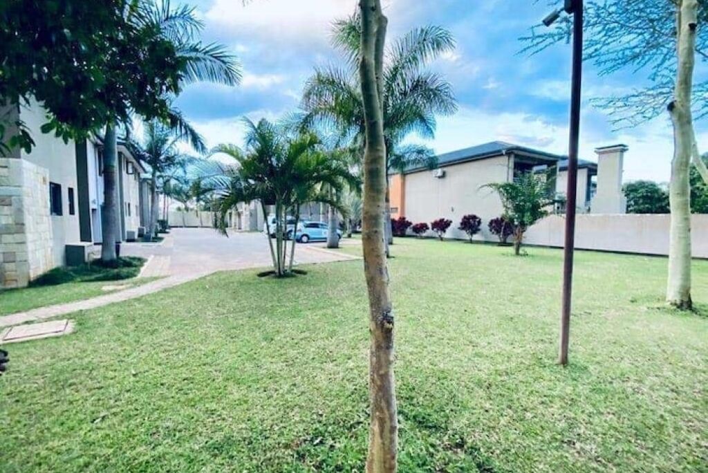 Una calle residencial con casas, césped cuidado y palmeras.