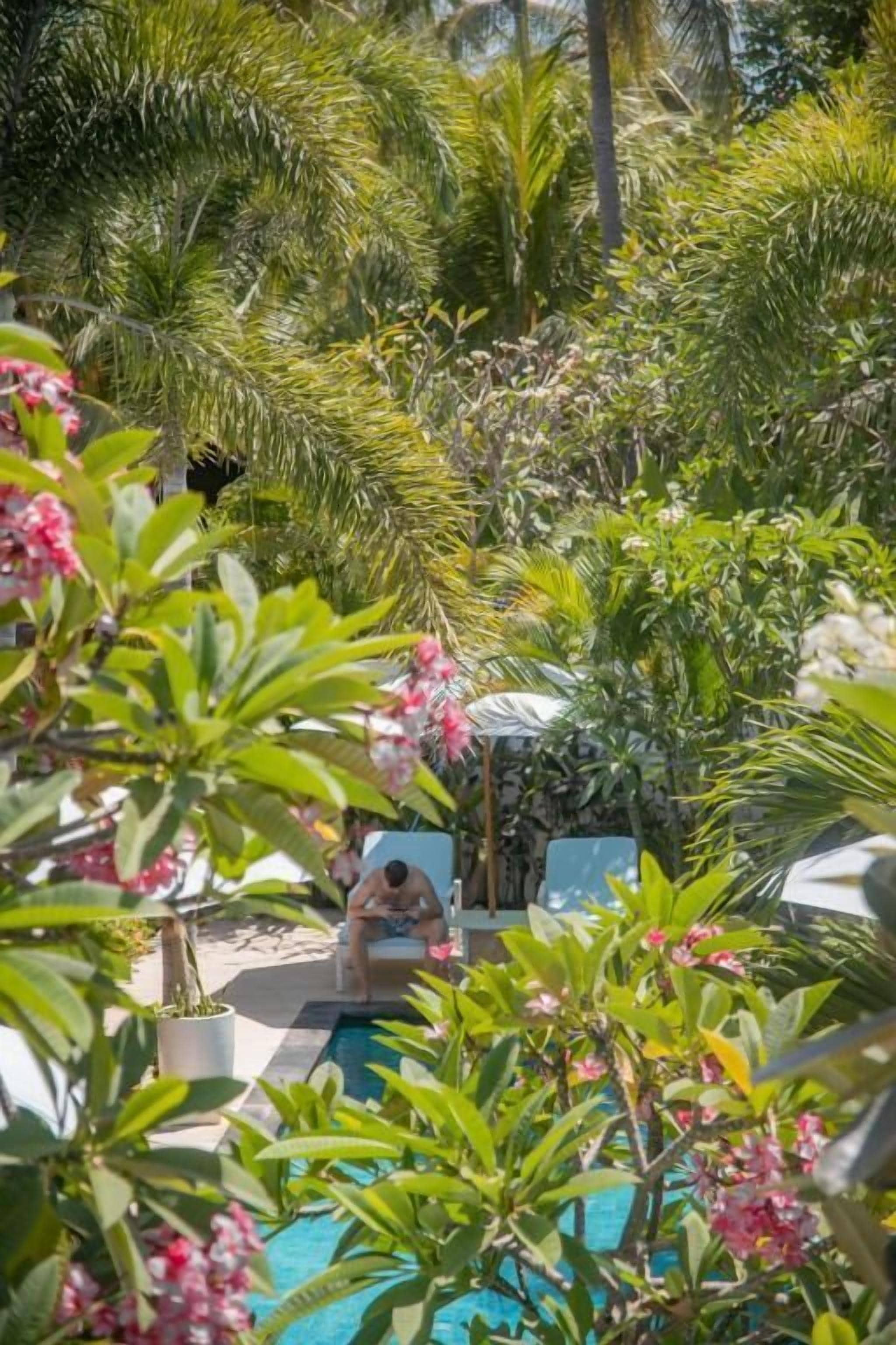 A pool area surrounded by lush greenery and palm trees.