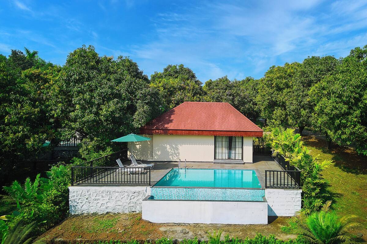 Une maison avec une piscine, entourée d’une végétation luxuriante et d’arbres.