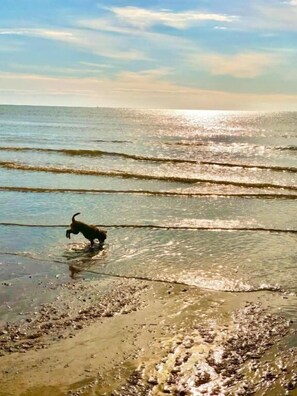 Beach - Sea Breeze Beach Holiday Home – South Shore, Bridlington (Bridlington)