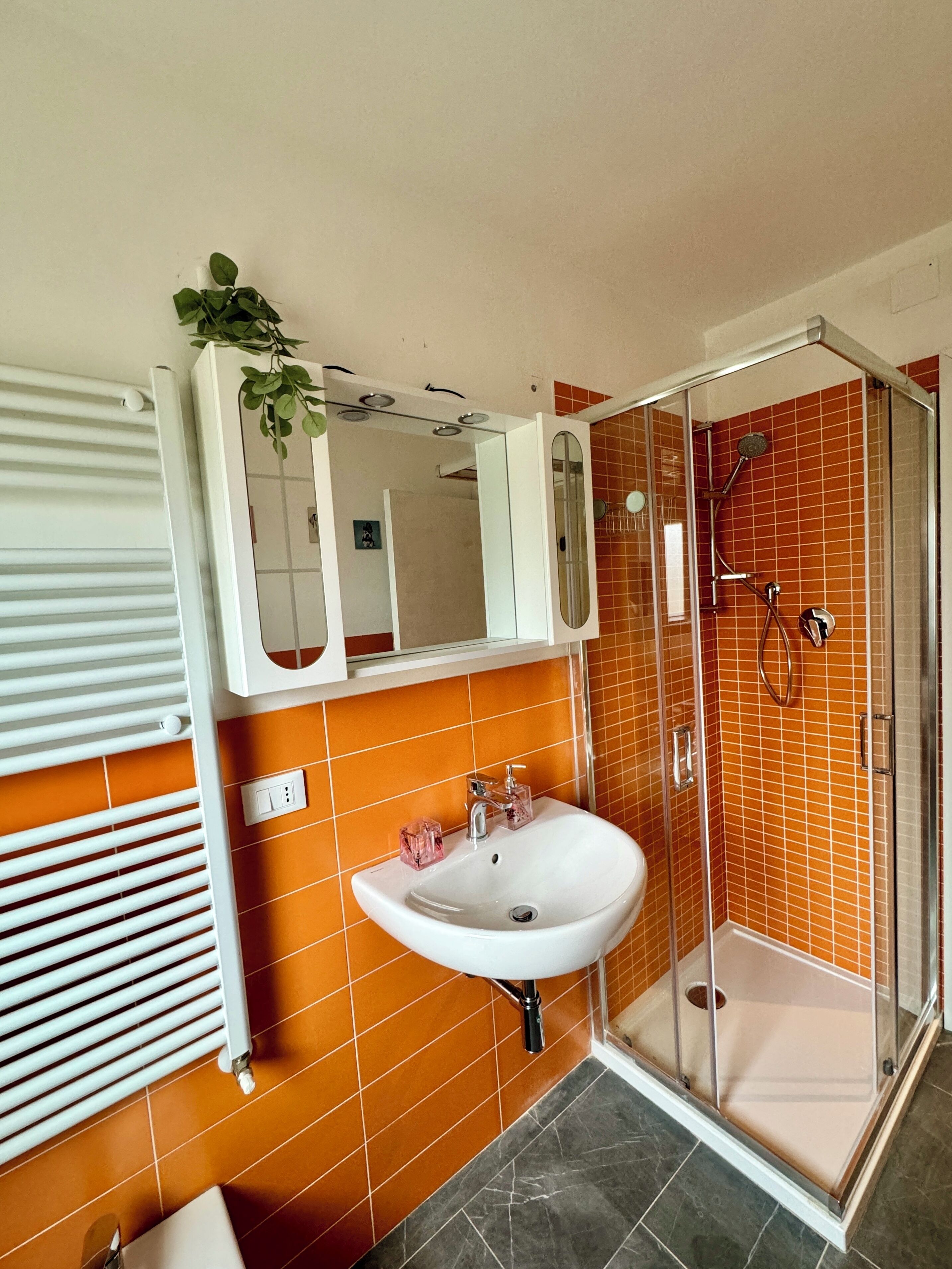 Dusche, Haartrockner, Bidet, Handtücher