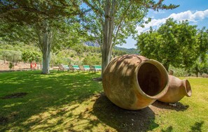 Property grounds - Lovely home in Puigpunyent with private swimming pool, can be inside or outside (Puigpunyent)