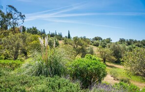 Property grounds - Lovely home in Arta with private swimming pool, can be inside or outside (Arta)