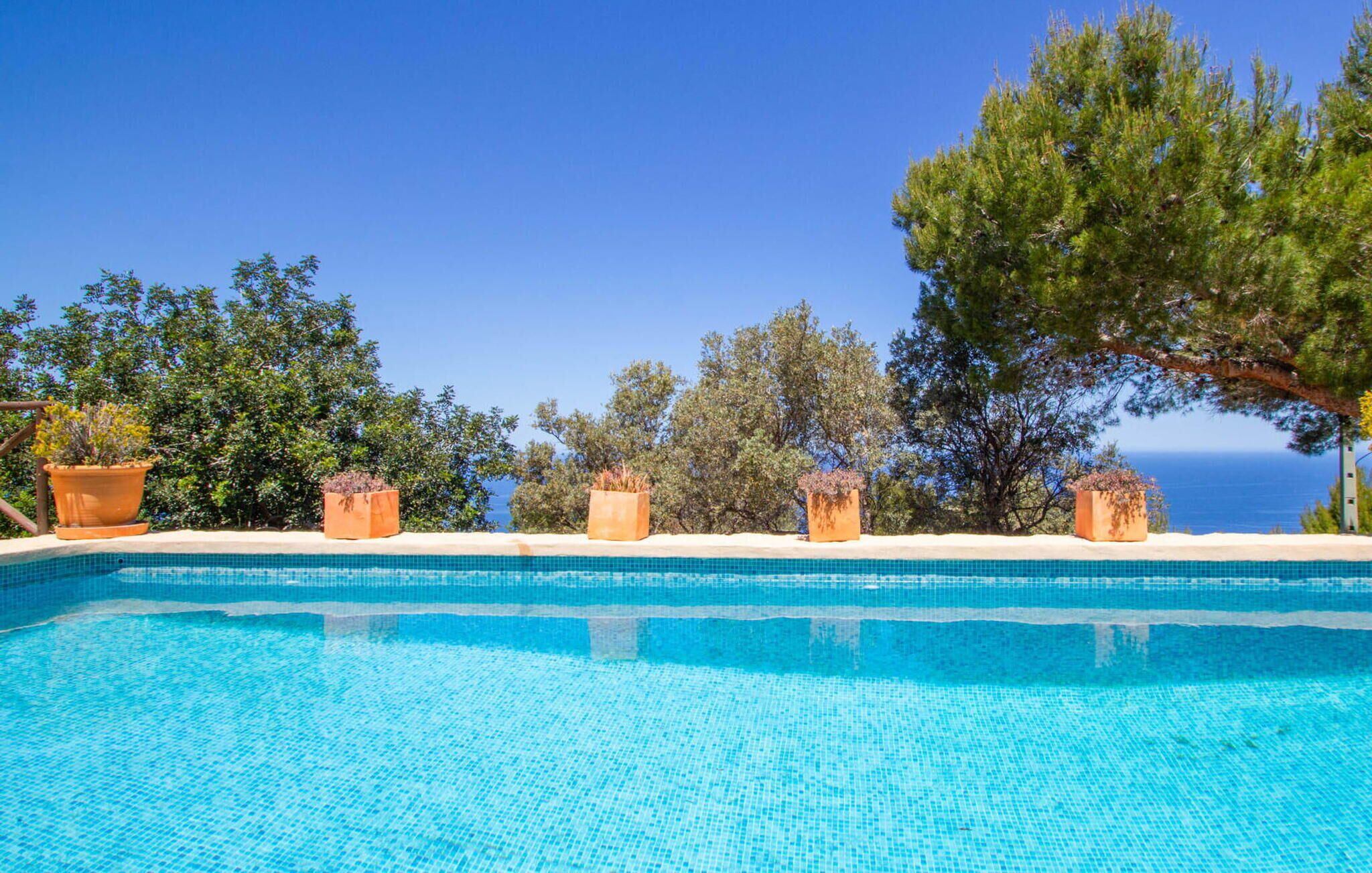 A clear blue pool with terracotta planters and trees in the background.